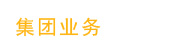 集团业务